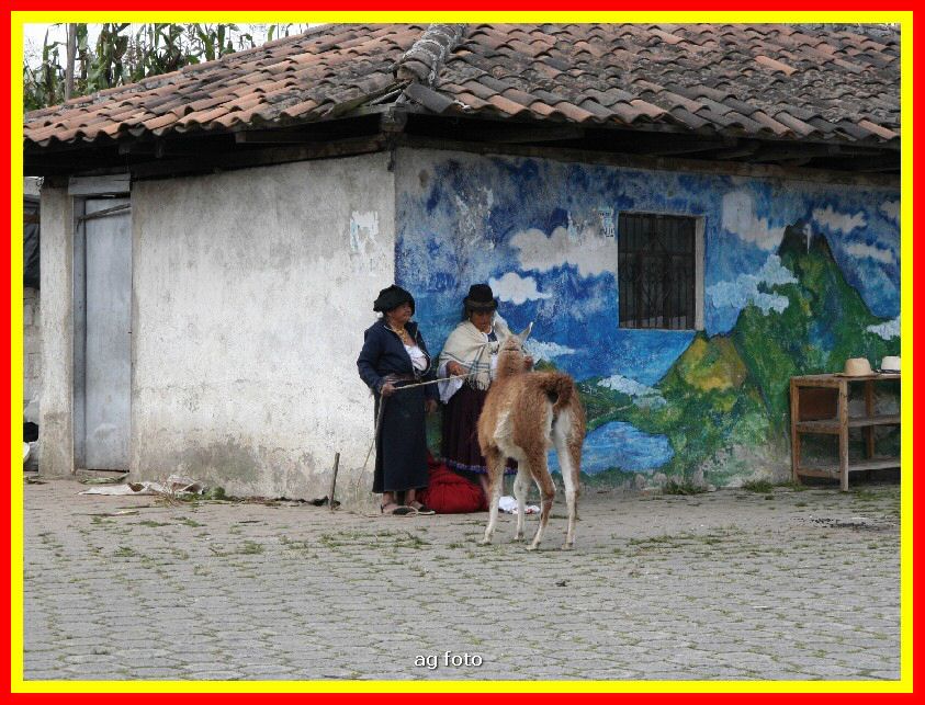 Ecuador 219_tn.jpg